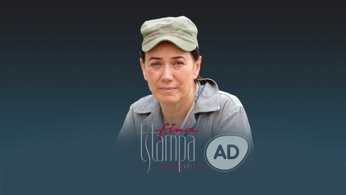 Logo do resumo da novela Fina Estampa no Portal Alta Definição