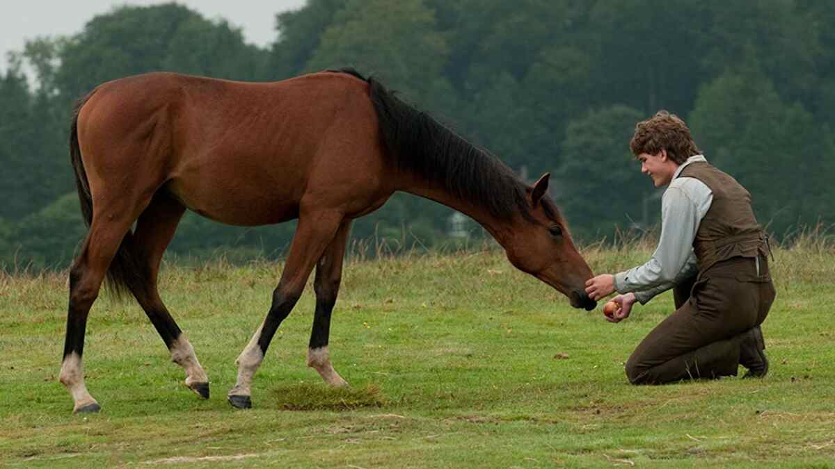 Cena do filme em que o protagonista esta ao lado do cavalo. Globo exibe o filme Cavalo de Guerra na Sessão da Tarde
