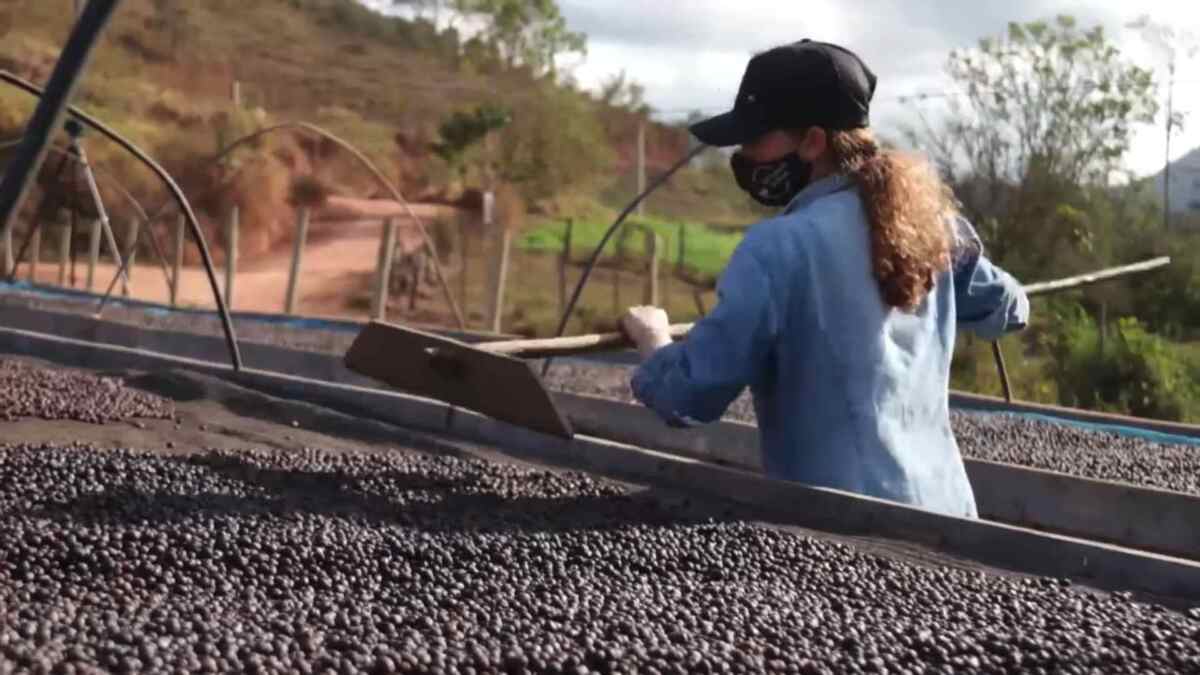 Jovem trabalhando no café, em trecho da reportagem do Globo Rural