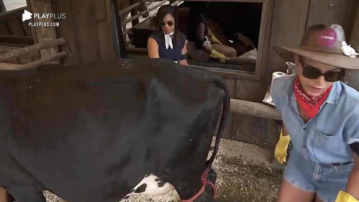 Jakelyne Oliveira e Tays Reis se desentendem por causa do trato com animais