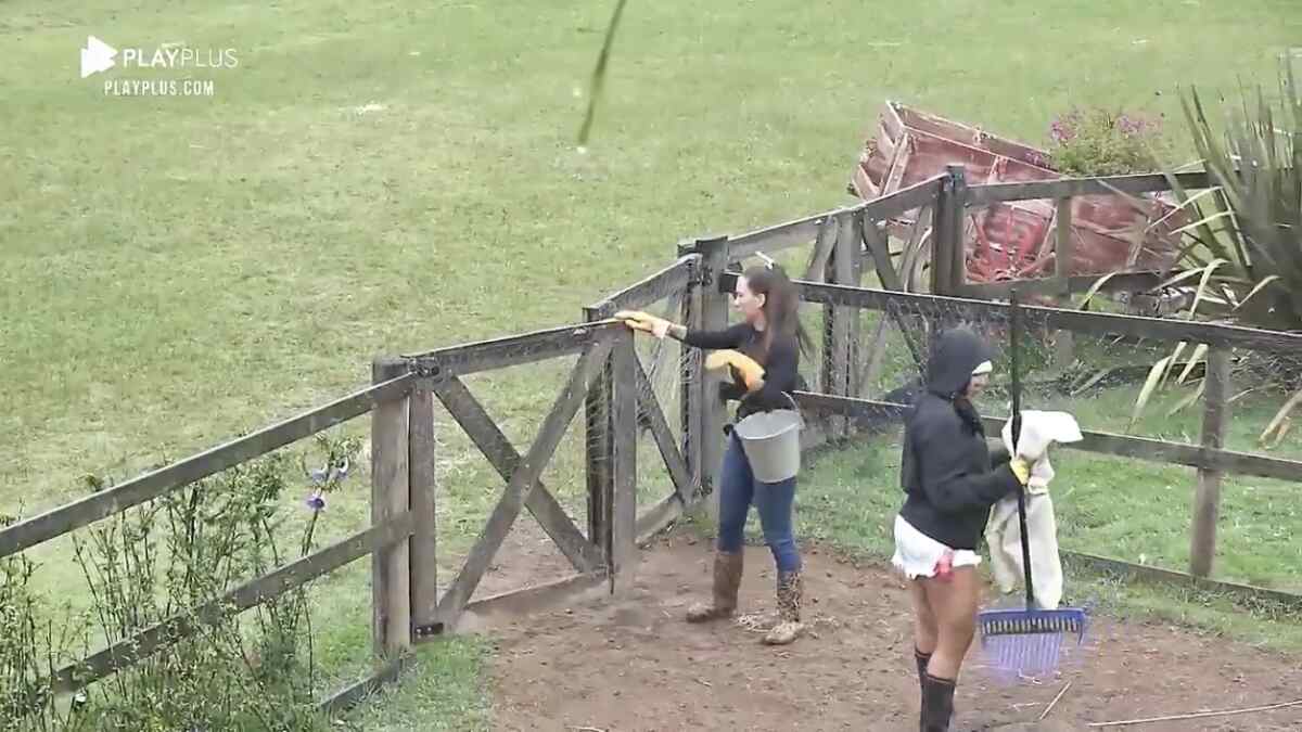 Stéfani Bays e Tays Reis conversam sobre as provas e a formação da roça em "A Fazenda 12"