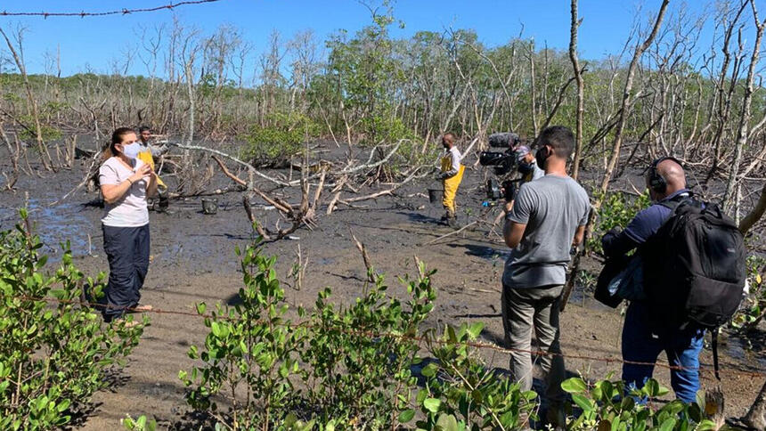 Bette Lucchese durante gravação nos manguezais cariocas para o Globo Repórter