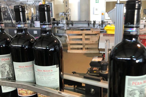 Garrafas de vinho tinto, em trecho da série especial Vinhos e Vinhas, exibida pelo Jornal da Band