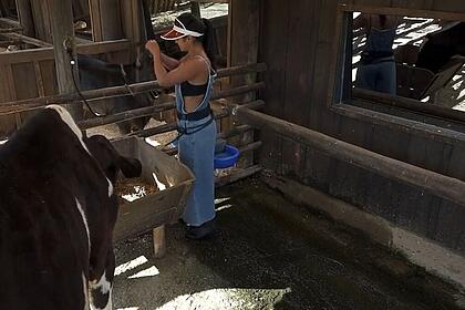 Mileide acordou bem emotiva nessa manhã em A Fazenda 13. Enquanto cuidava das vacas a influenciadora chorou e desabafou sobre seus amigos não acreditar que ela volte da roça.