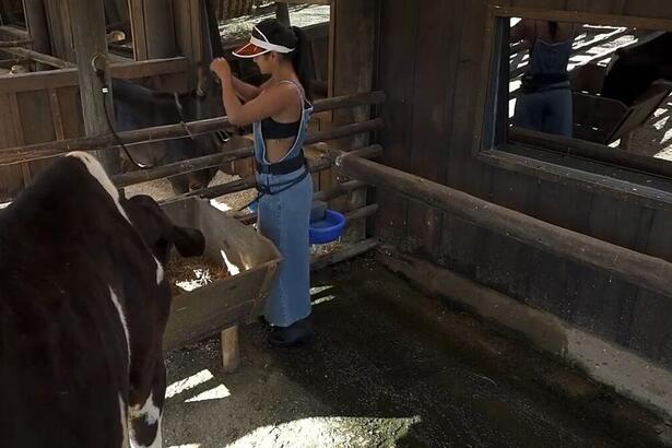 Mileide acordou bem emotiva nessa manhã em A Fazenda 13. Enquanto cuidava das vacas a influenciadora chorou e desabafou sobre seus amigos não acreditar que ela volte da roça.