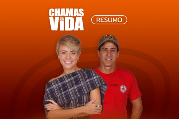 Arte de divulgação do resumo diário da novela Chamas da Vida