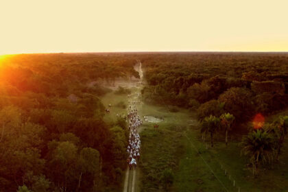 Cena do documentário Pantanal, a Boa Inocência de Nossas Origens