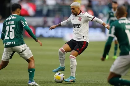 Trecho da partida entre palmeiras e flamengo pelo brasileirão