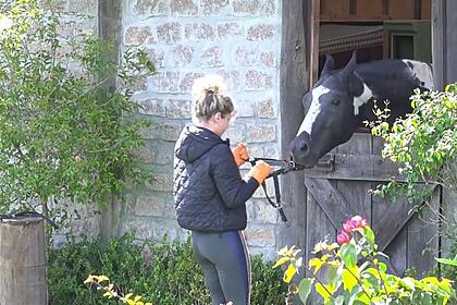 Bárbara tentando colocar o cabresto no cavalo colorado.
