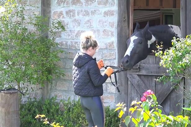 Bárbara tentando colocar o cabresto no cavalo colorado.