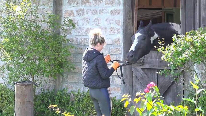 Bárbara tentando colocar o cabresto no cavalo colorado.