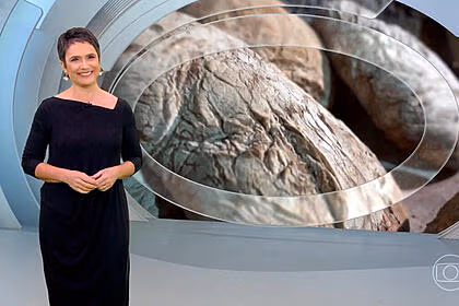 Sandra annenberg em trecho da apresentação no estúdio do globo repórter