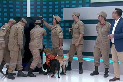 Telao tv jornal