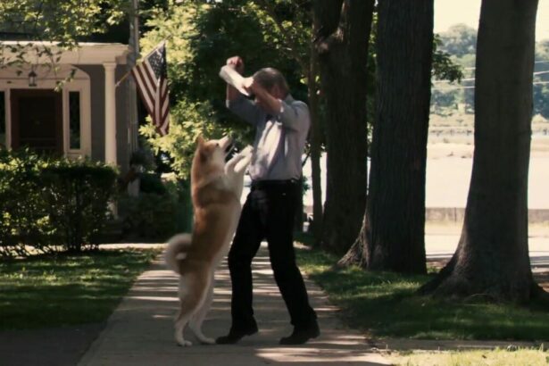 Cachorro pula em um homem em cena do filme Sempre ao Seu Lado
