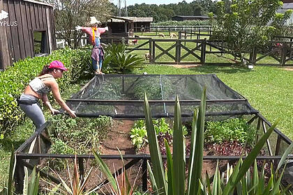Nadja Pessoa durante o trato das hortas de A Fazenda
