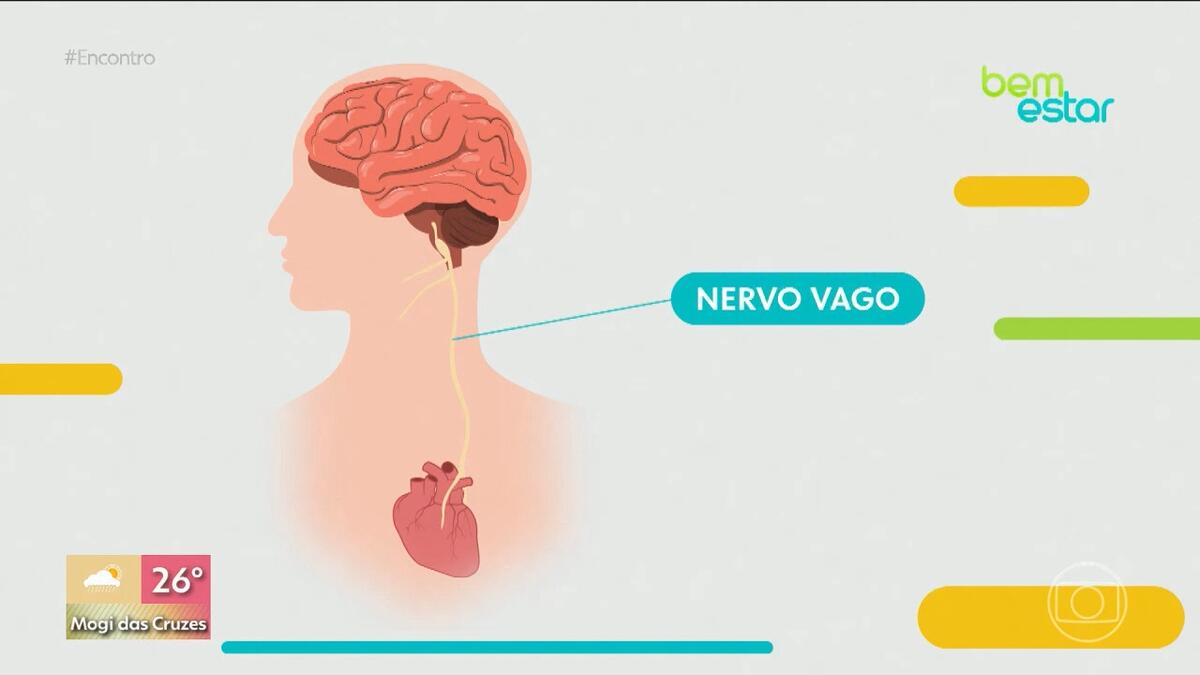 Síncope de Vasogaval 