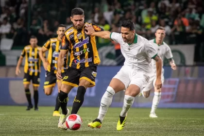 Jogadores do Palmeiras e Novorizontino disputam bola durante jogo