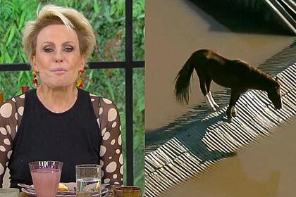 Ana Maria Braga e cavalo no telhado em uma montagem