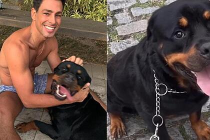 Cauã Reymond em fotos ao lado do cachorro Romeu