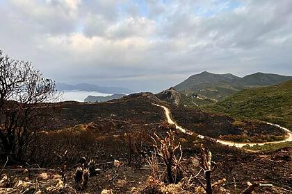 Queimadas Parque Nacional de Itatiaia em trecho do Globo Repórter