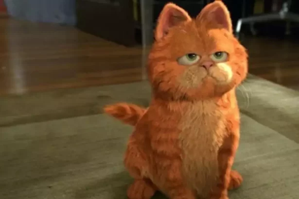 Trecho do filme Garfield, com o gato laranja sendo destaque