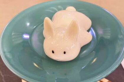 Panacota de bichinho, em trecho de receita no Mais Você