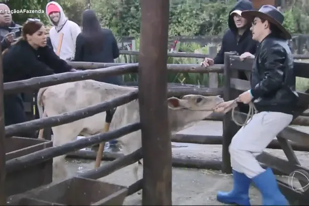 Dudu Camargo puxando o bezerro com uma corda no pescoço em A Fazenda 17