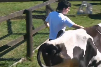 Dud caminha ao lado da vaca Tonica enquanto Matheus e Saory discutem em A Fazenda 17