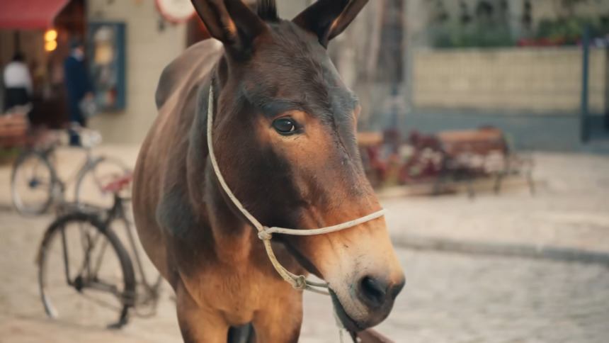 Burro Policarpo caminha na rua em cena de Êta Mundo Melhor