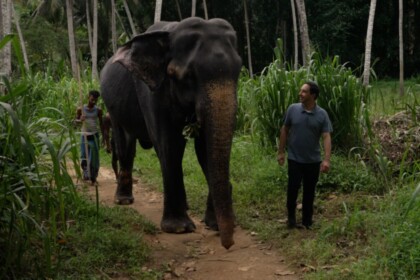 Pedro Bassan, ao lado de um elefante, em trecho do Globo Repórter sobre o Sri Lanka