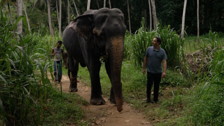 Pedro Bassan, ao lado de um elefante, em trecho do Globo Repórter sobre o Sri Lanka