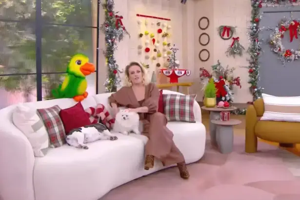 Ana Maria Braga sentada no sofá junto ao Louro Mané na chamada do Mais Você