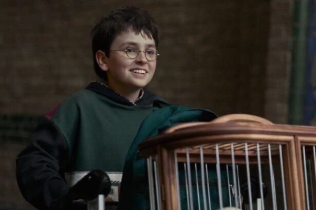 Dominic McLaughlin em trecho do trailer da série Harry Potter