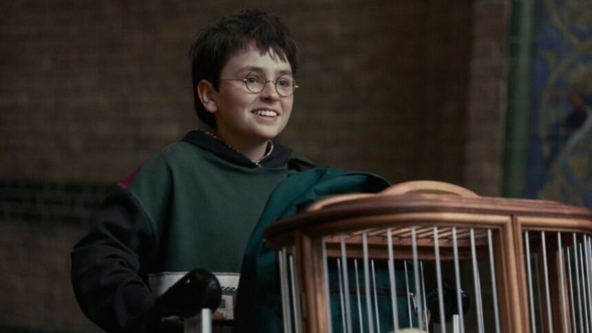 Dominic McLaughlin em trecho do trailer da série Harry Potter