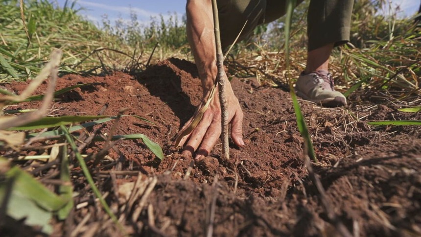 Mão de um agricultor na terra em trecho do Globo Repórter sobre o poder da semente