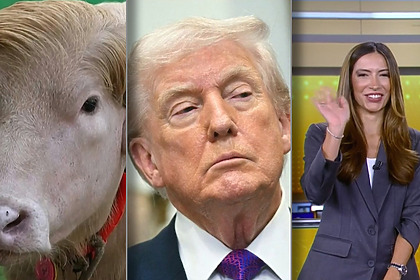 Montagem do Bufalo Trump divide tela com Donald Trump e apresentadora Paloma Poeta dando tchau e caindo na risada