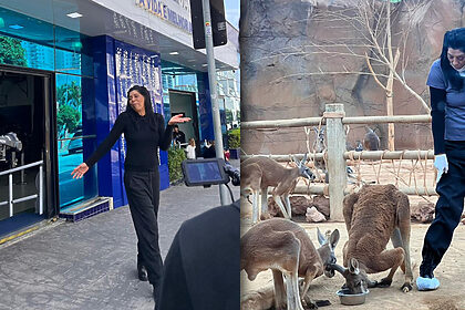 Montagem de Marcia Fu na entrada do Aquário de São Paulo e dentro do local